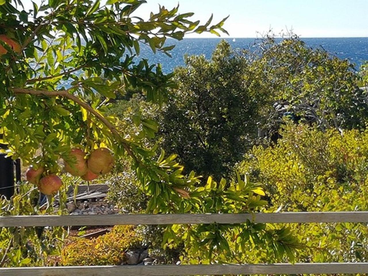 Modern Apartment In Primo Ten Burnji With Private Terrace Dolac 外观 照片